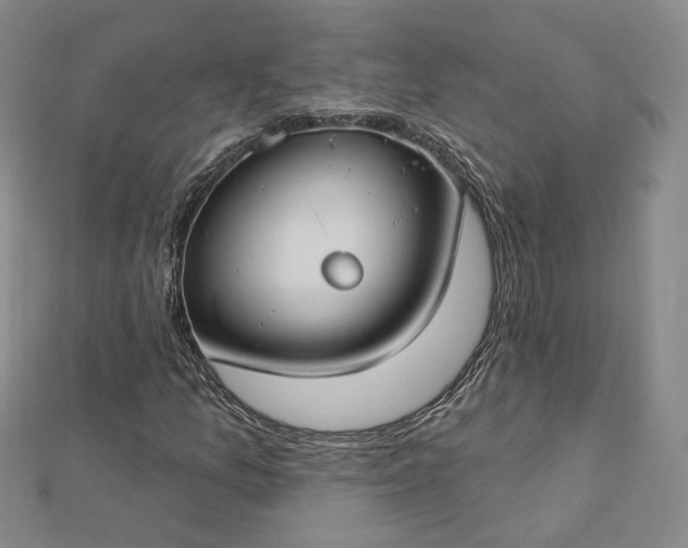 X0000112741157200909031500