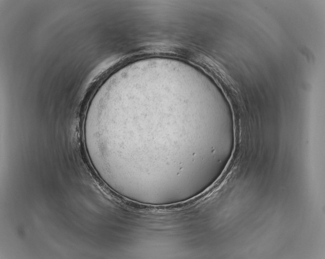 X0000112741164200909031500