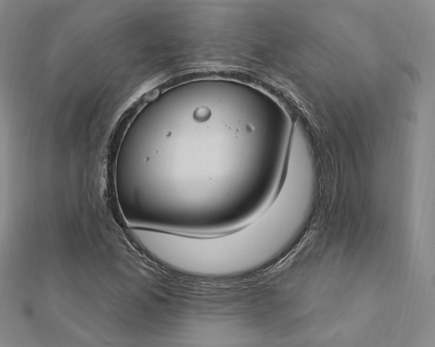 X0000112741165200909031500