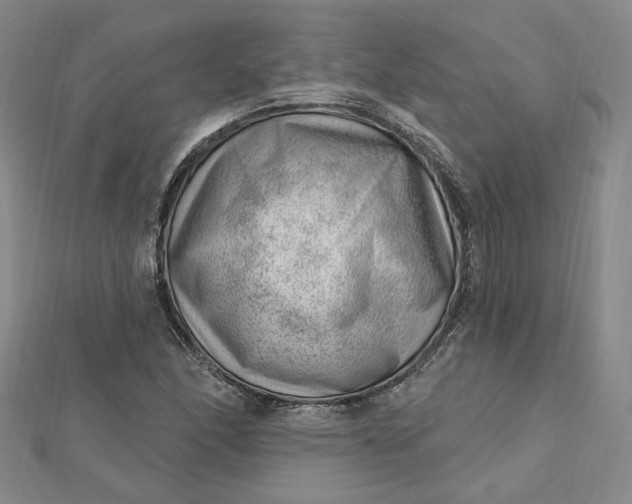 X0000112741166200909031500