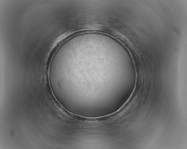 X0000112741168200909031500