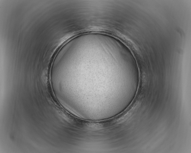 X0000112741170200909031500