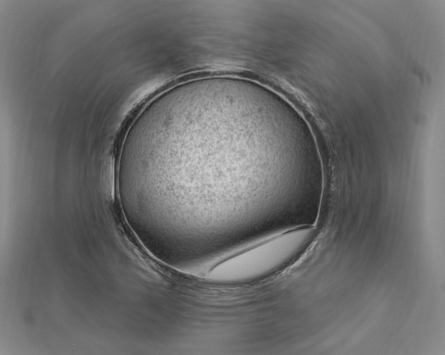 X0000112741171200909031500