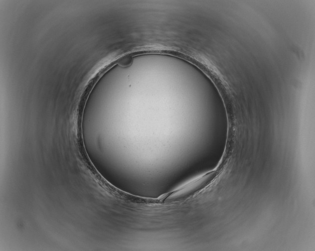 X0000112741173200909031500