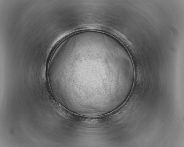 X0000112741174200909031500