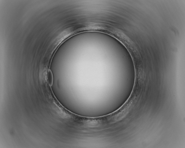 X0000112741177200909031500