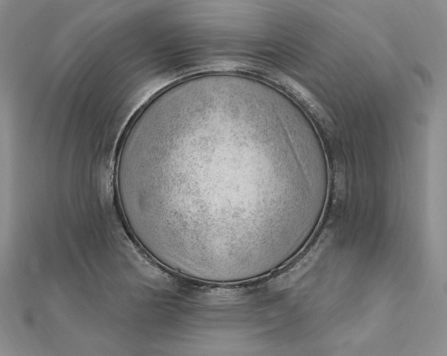 X0000112741178200909031500