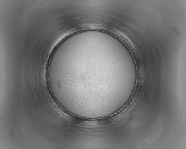 X0000112741182200909031459