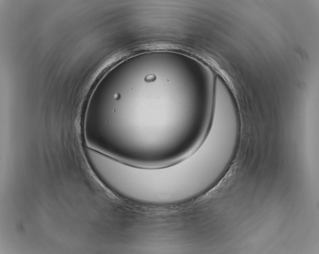 X0000112741189200909031459