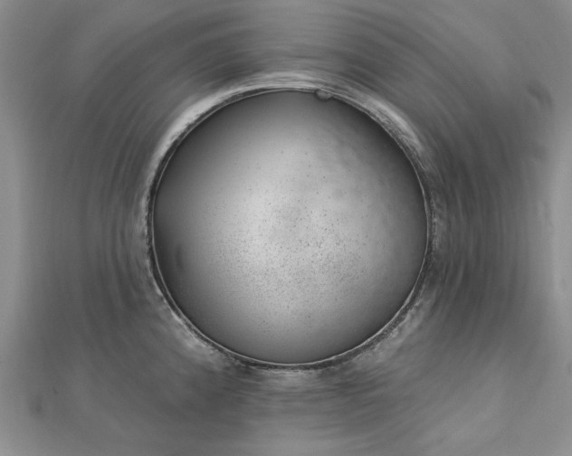 X0000112741192200909031459