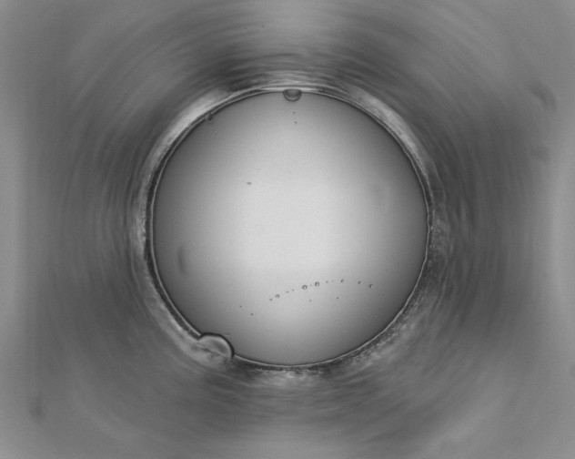 X0000112741195200909031459