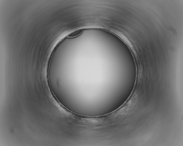 X0000112741197200909031459