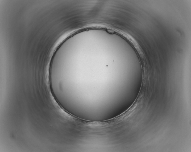 X0000112741199200909031459