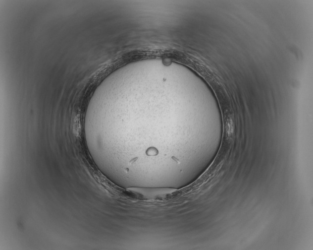 X0000112741204200909031459