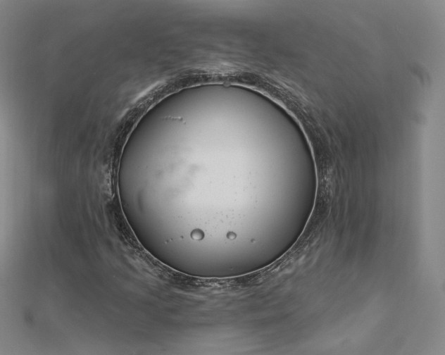 X0000112741205200909031459