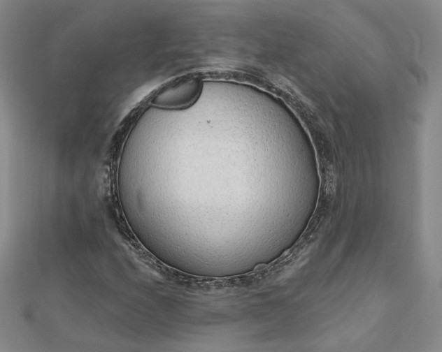 X0000112741208200909031459