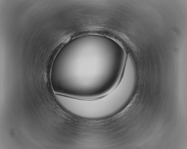 X0000112741209200909031459