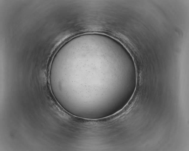 X0000112741212200909031459