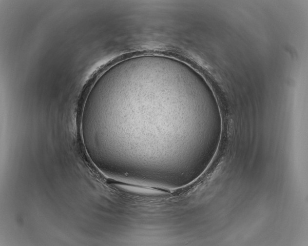 X0000112741214200909031459