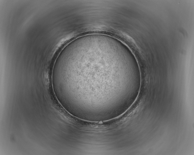 X0000112741218200909031459