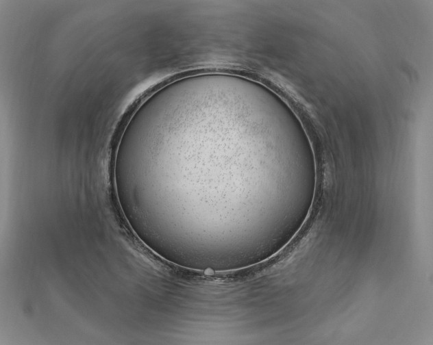 X0000112741222200909031459