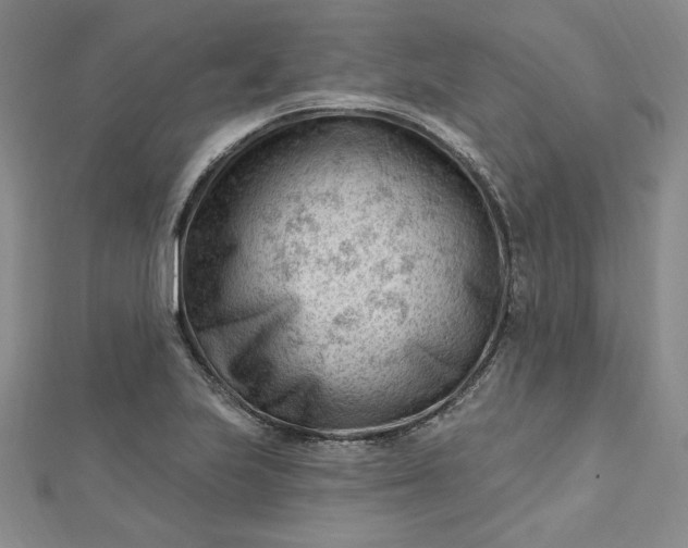 X0000112741223200909031459