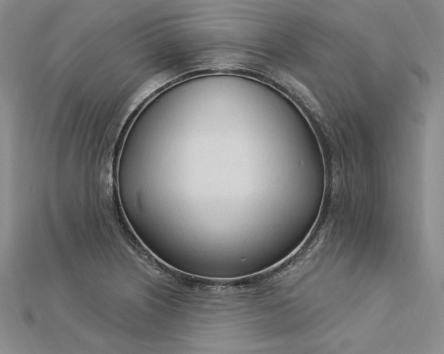 X0000112741226200909031459