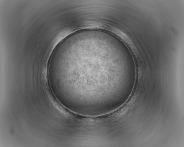 X0000112741234200909031459