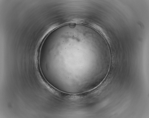 X0000112741235200909031459