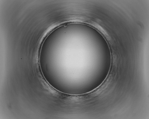 X0000112741240200909031459