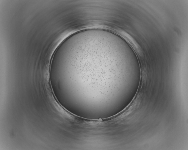 X0000112741244200909031459