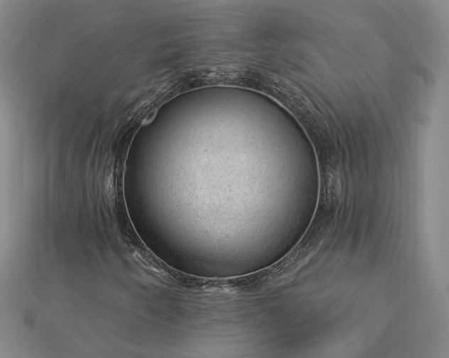 X0000112741250200909031459