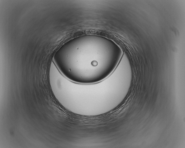 X0000112741252200909031459