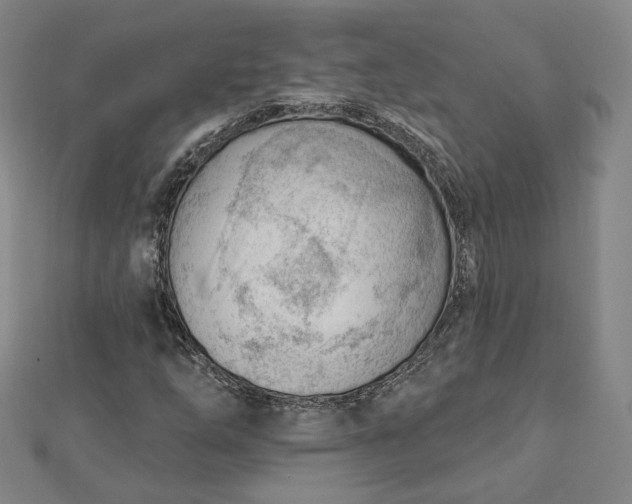 X0000112741254200909031459