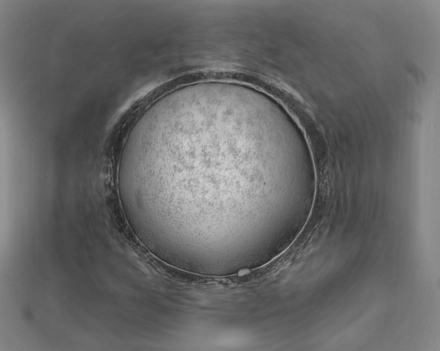 X0000112741255200909031459