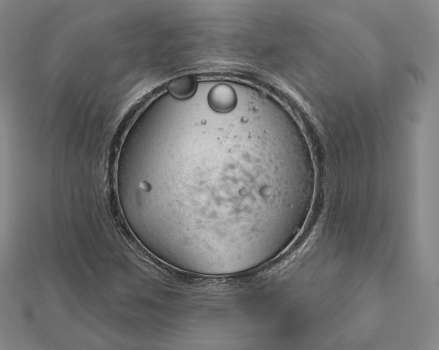 X0000112741259200909031458