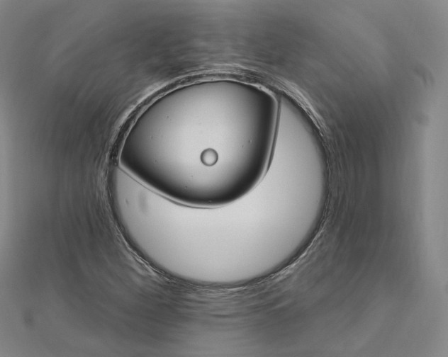 X0000112741260200909031458