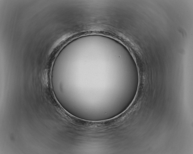 X0000112741262200909031458