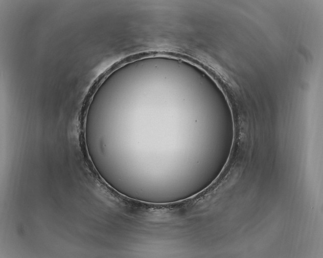 X0000112741264200909031458