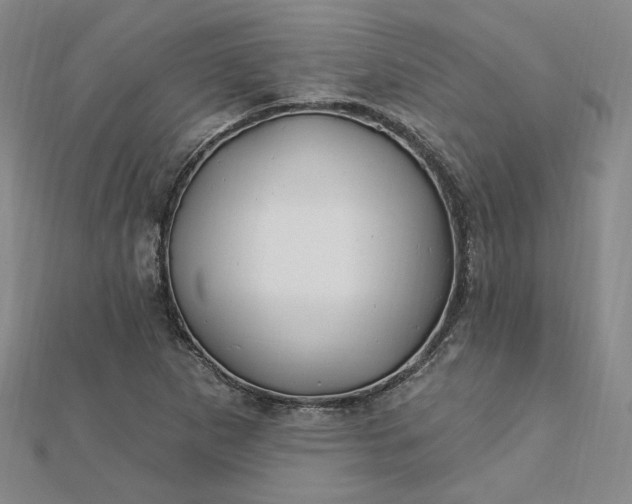 X0000112741265200909031458