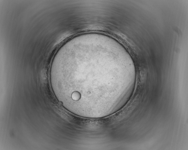 X0000112741266200909031458