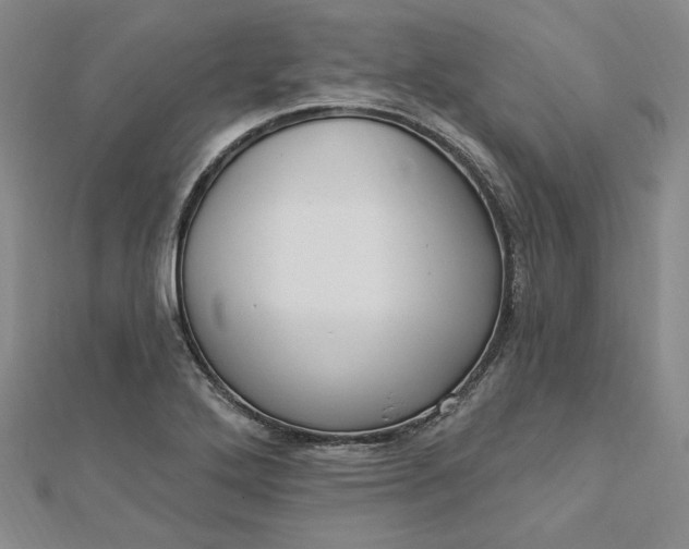 X0000112741272200909031458