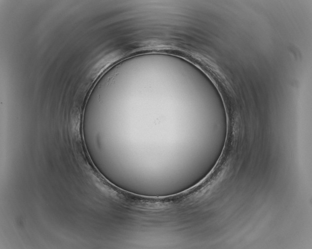 X0000112741273200909031458