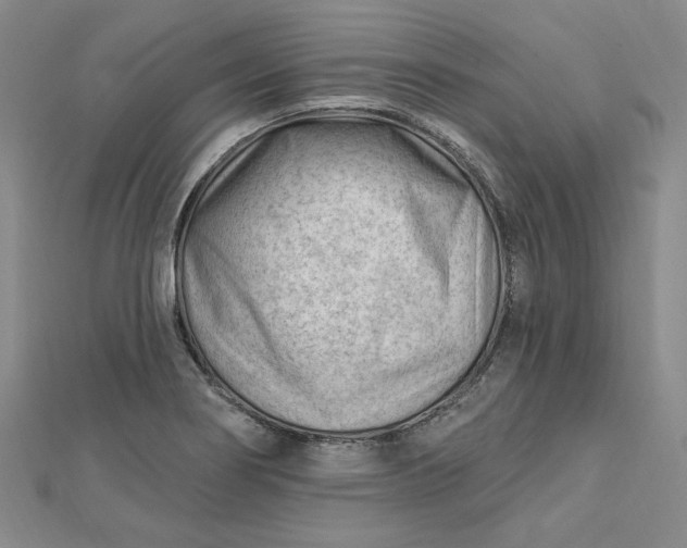 X0000112741274200909031458