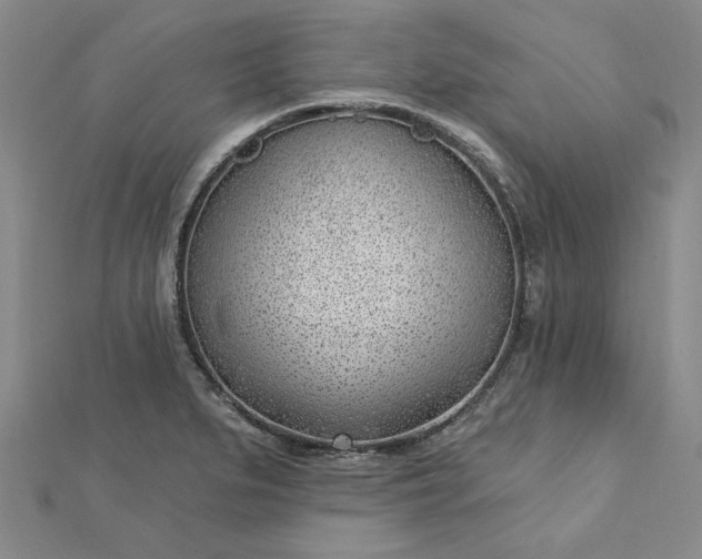 X0000112741279200909031458