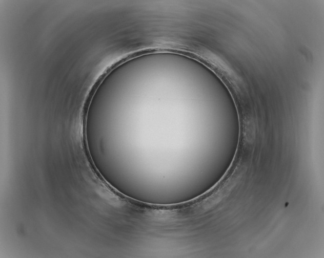 X0000112741280200909031458