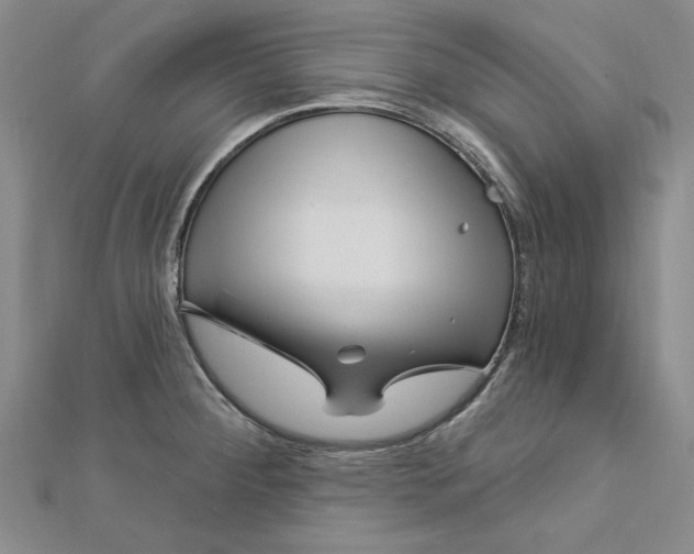 X0000112741284200909031458