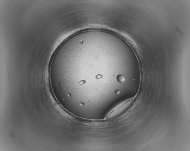 X0000112741287200909031458