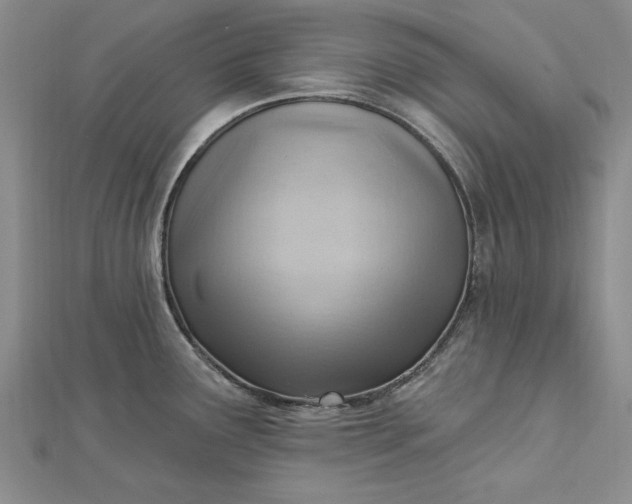 X0000112741291200909031458