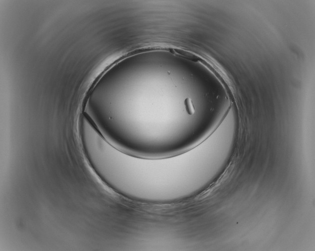 X0000112741293200909031458